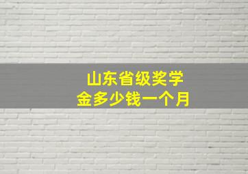 山东省级奖学金多少钱一个月