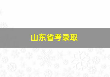 山东省考录取