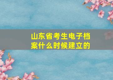 山东省考生电子档案什么时候建立的