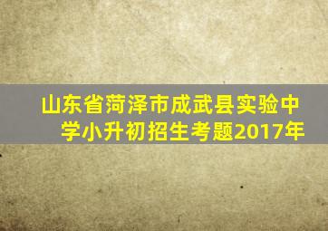 山东省菏泽市成武县实验中学小升初招生考题2017年