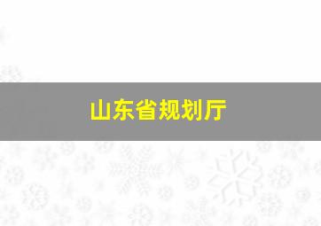 山东省规划厅