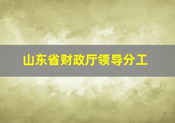 山东省财政厅领导分工