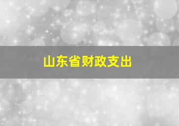 山东省财政支出