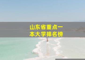 山东省重点一本大学排名榜