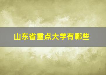 山东省重点大学有哪些