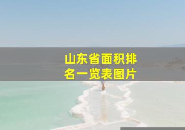 山东省面积排名一览表图片