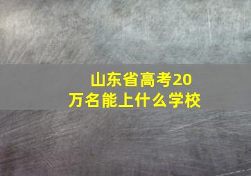 山东省高考20万名能上什么学校