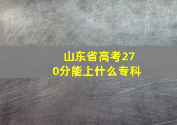 山东省高考270分能上什么专科