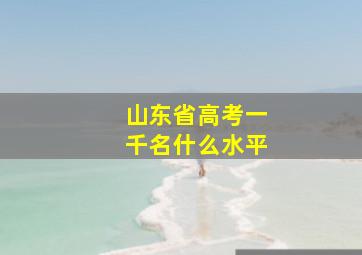 山东省高考一千名什么水平