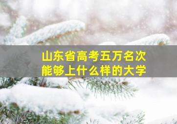 山东省高考五万名次能够上什么样的大学