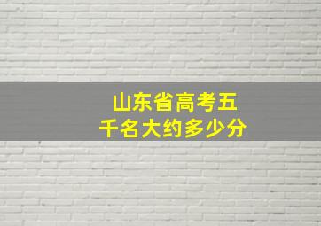 山东省高考五千名大约多少分