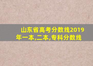 山东省高考分数线2019年一本,二本,专科分数线