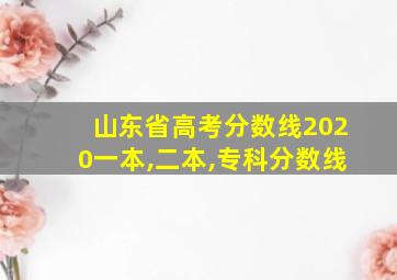 山东省高考分数线2020一本,二本,专科分数线