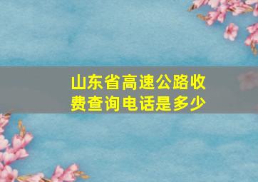 山东省高速公路收费查询电话是多少