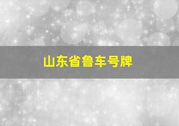 山东省鲁车号牌