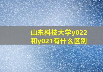 山东科技大学y022和y021有什么区别