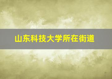 山东科技大学所在街道