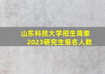 山东科技大学招生简章2023研究生报名人数