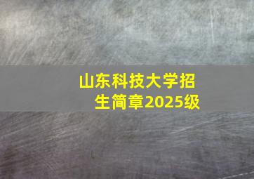 山东科技大学招生简章2025级