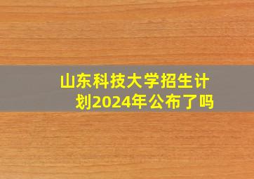 山东科技大学招生计划2024年公布了吗