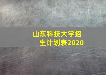 山东科技大学招生计划表2020