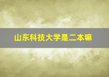 山东科技大学是二本嘛