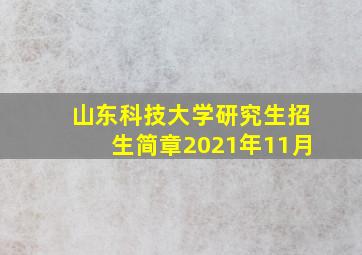 山东科技大学研究生招生简章2021年11月