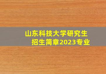 山东科技大学研究生招生简章2023专业