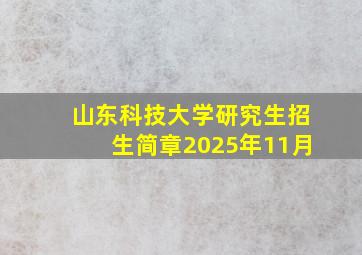 山东科技大学研究生招生简章2025年11月