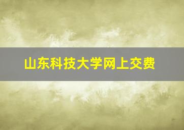 山东科技大学网上交费