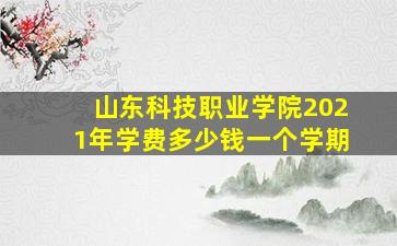 山东科技职业学院2021年学费多少钱一个学期