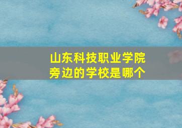 山东科技职业学院旁边的学校是哪个