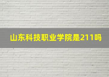 山东科技职业学院是211吗