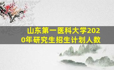 山东第一医科大学2020年研究生招生计划人数