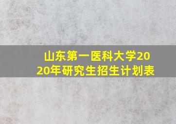 山东第一医科大学2020年研究生招生计划表