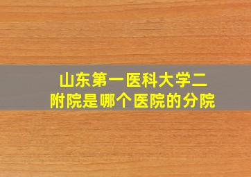 山东第一医科大学二附院是哪个医院的分院