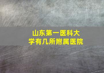 山东第一医科大学有几所附属医院