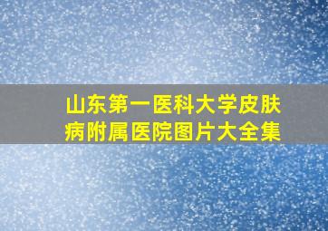 山东第一医科大学皮肤病附属医院图片大全集