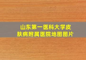 山东第一医科大学皮肤病附属医院地图图片