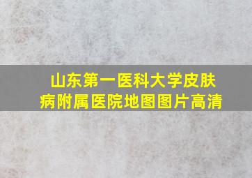 山东第一医科大学皮肤病附属医院地图图片高清