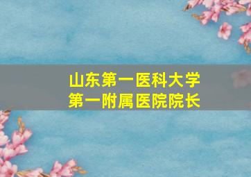 山东第一医科大学第一附属医院院长