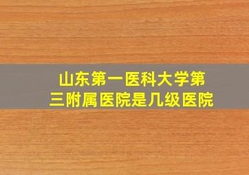 山东第一医科大学第三附属医院是几级医院