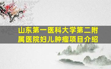 山东第一医科大学第二附属医院妇儿肿瘤项目介绍