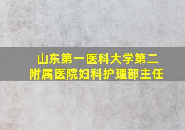 山东第一医科大学第二附属医院妇科护理部主任