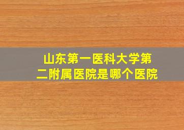 山东第一医科大学第二附属医院是哪个医院