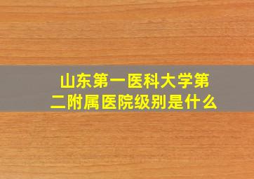 山东第一医科大学第二附属医院级别是什么