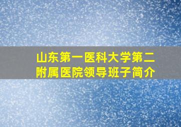 山东第一医科大学第二附属医院领导班子简介