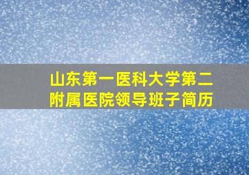 山东第一医科大学第二附属医院领导班子简历