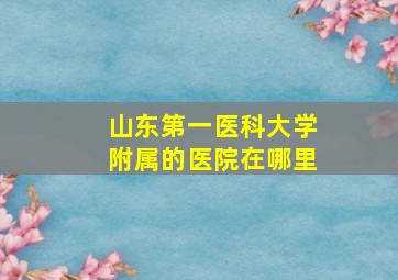 山东第一医科大学附属的医院在哪里