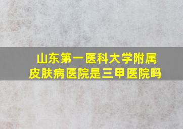 山东第一医科大学附属皮肤病医院是三甲医院吗